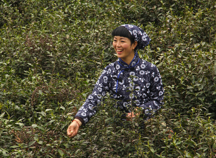 百丽网站 最新